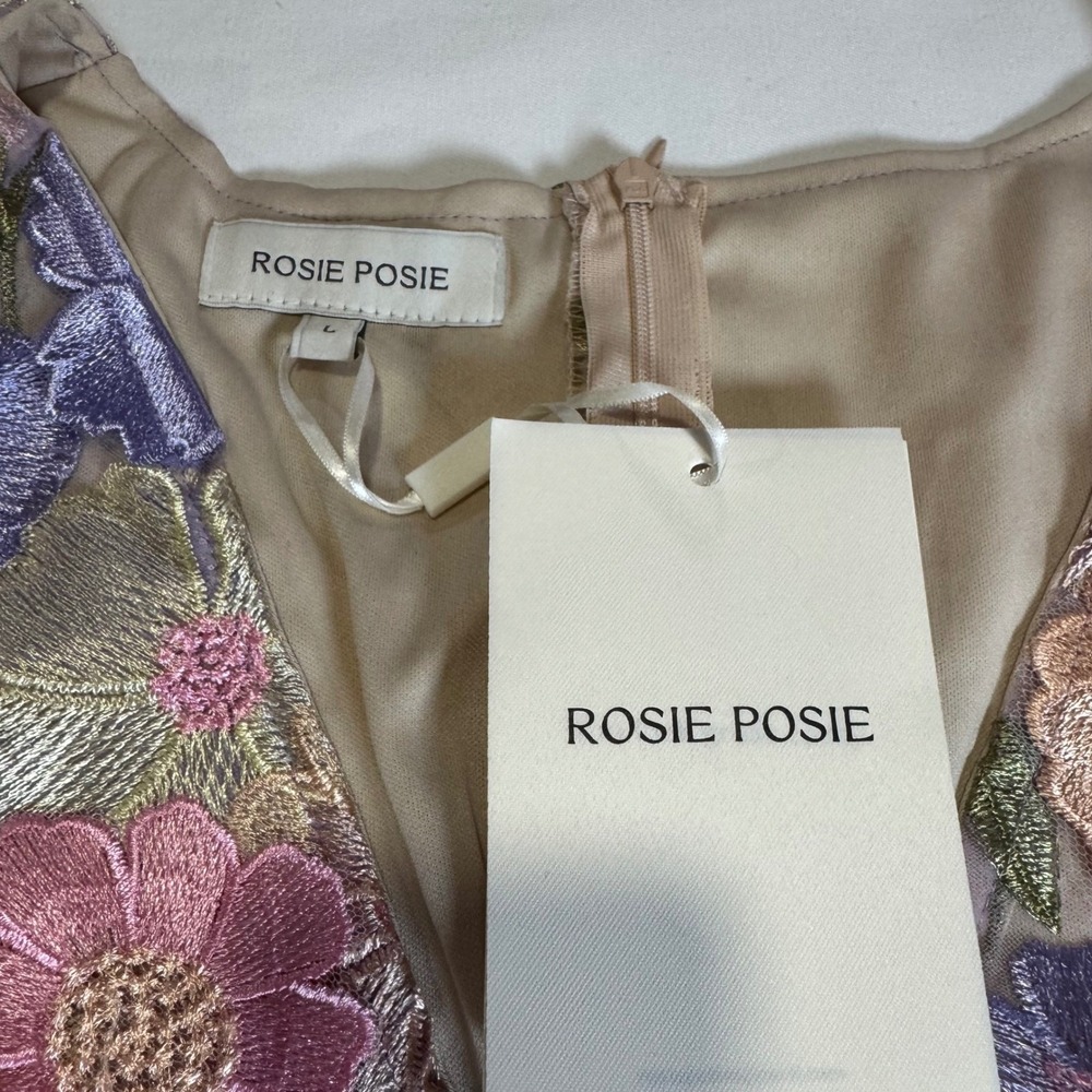 Rosie Posie Size L 3D Floral Mesh Mini Dress Fairycore Coquette Dreamy - Picture 4 of 9